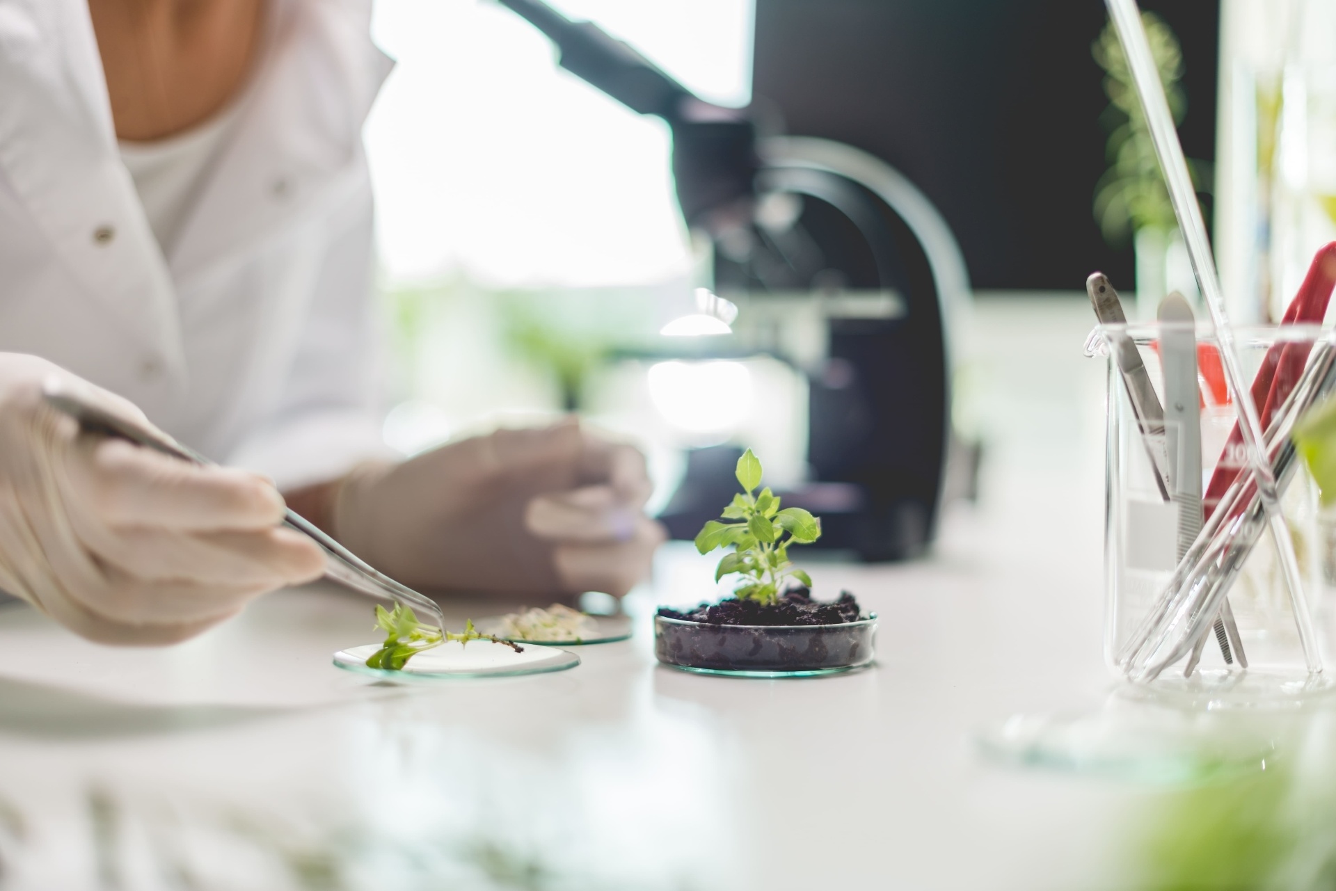 Gesundheitswirtschaft & Biotechnologie – Recruiting in Hannover