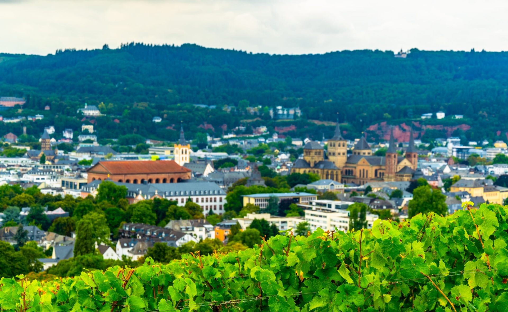 Weinberge in Rheinland-Pfalz – Recruiting in der Region
